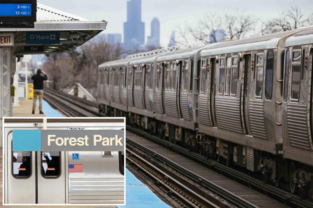 Straphanger badly burned after madman torches her on Chicago train