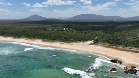 Police review shark attack victims’ GoPro footage