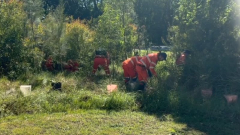 Police investigating NSW stabbing death scour wetlands