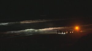 Body found in search for missing swimmer off NSW Coast