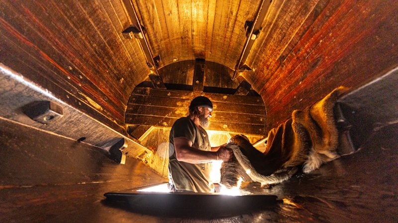 The Age photos of the week, November 8, 2025