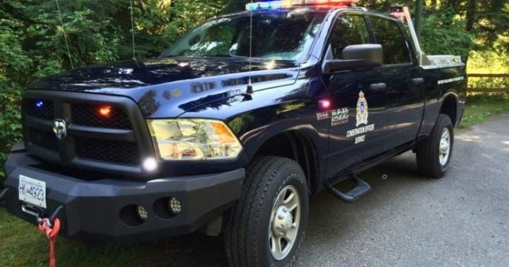 Officials investigating possible grizzly bear attack in Bella Coola