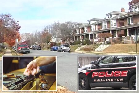 Dog accidentally shoots owner in freak accident as he cleaned gun: ‘The perfect storm’