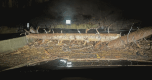 Power outages, closures plague Westside Road as burned trees fall on power lines