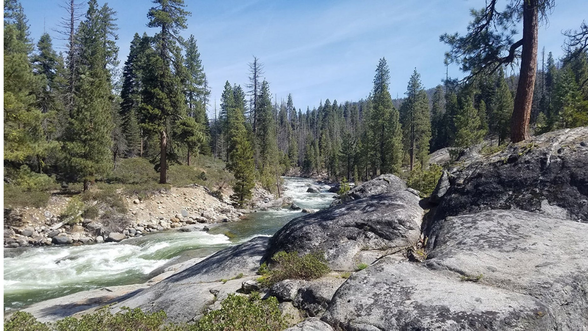 Sierra National Forest in Northern California.