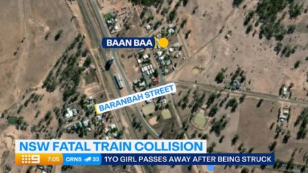 Toddler dies after being clipped by train in New South Wales north