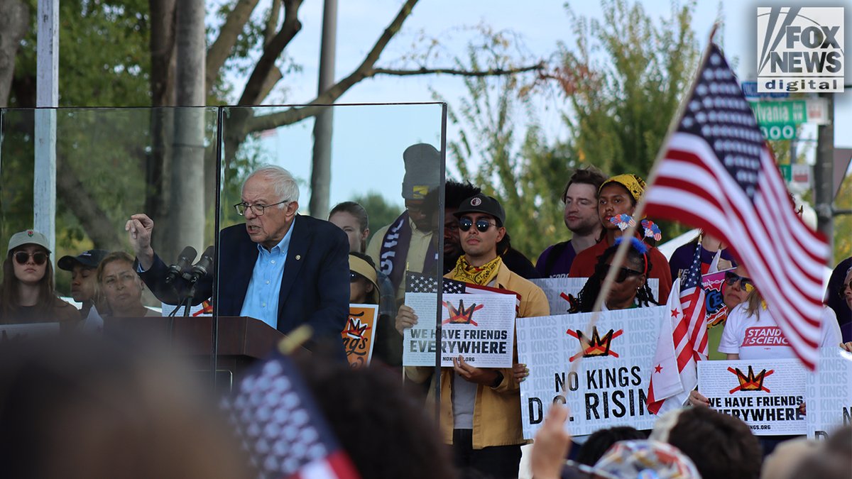 bernie sanders and supports at no kings