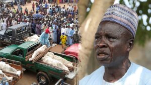 ‘Genocide can’t be ignored’: GOP lawmaker backs Trump’s threat of military action in Nigeria