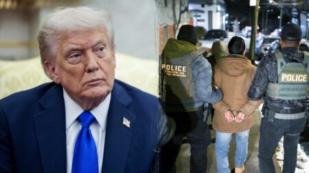 Trump backs ICE raid tactics, says they ‘haven’t gone far enough’