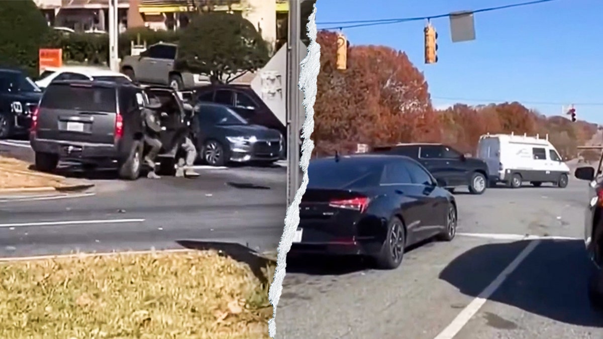 Charlotte van flees immigration operation