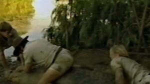 Crocodile made famous by Steve Irwin at centre of dispute