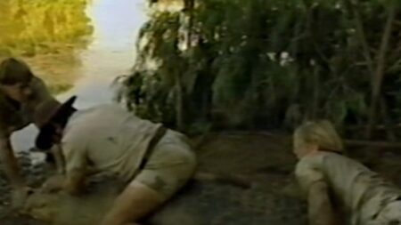 Crocodile made famous by Steve Irwin at centre of dispute