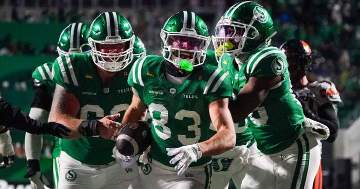 Nield thrilled to help gambling Riders beat Lions