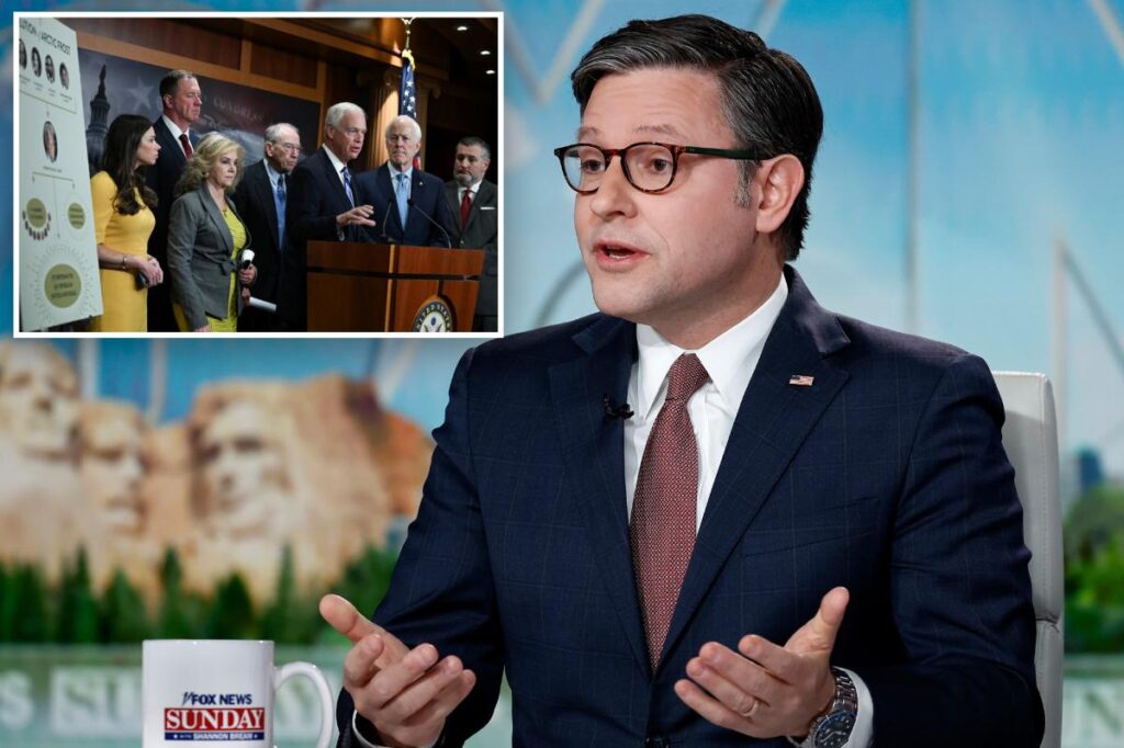 Arctic Frost provision in spending bill to let spied-on senators sue for $500K will ‘probably’ be repealed: Mike Johnson