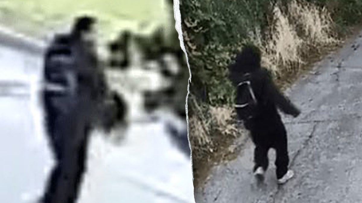 An 88-year-old Seattle woman was hospitalized with serious head injuries after a man brutally assaulted and robbed her outside her home, stealing her jewelry and biting off her finger, authorities say.