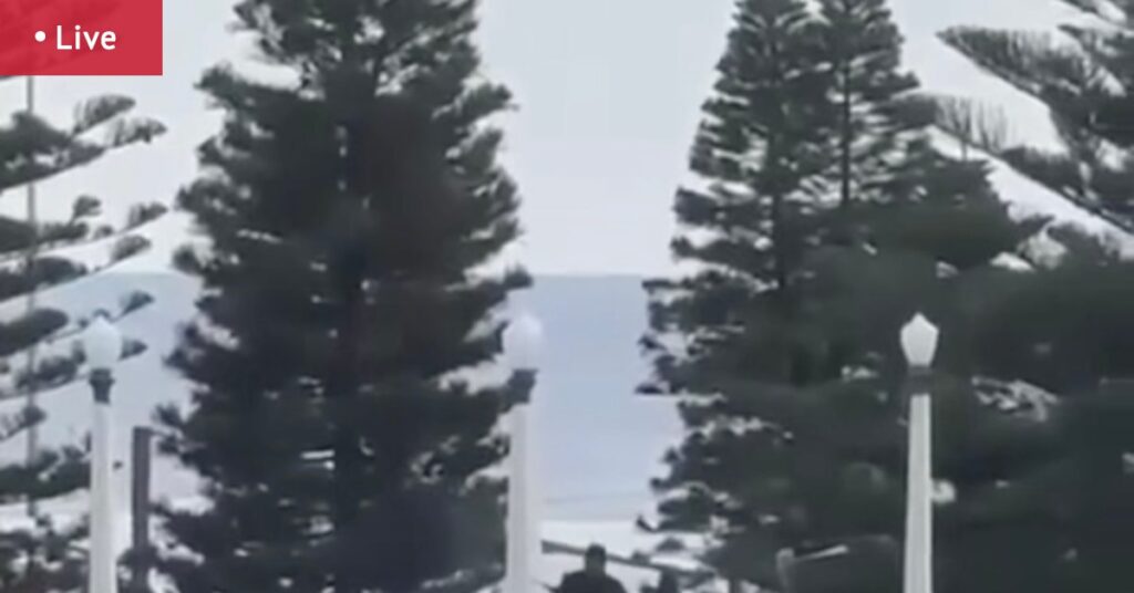 NSW Police arrest two men, multiple casualties reported