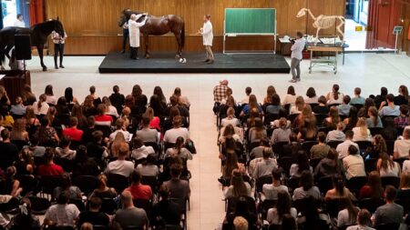 UK to rejoin EU’s Erasmus+ student mobility fund in 2027