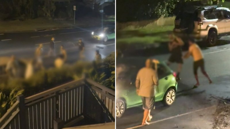 Men in balaclavas crash Queensland family barbecue