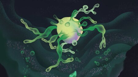 How these strange cells may explain the origin of complex life