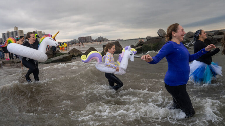Polar plunges aren’t just for the daring
