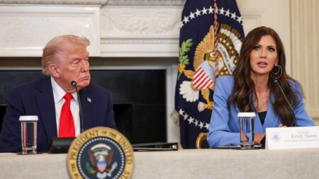 DHS boasts about deportations, calling them ‘ICE’s Christmas gift to Americans’