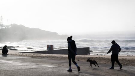 Woman dead after being knocked into water at Sydney beach