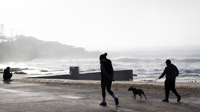Woman dead after being knocked into water at Sydney beach