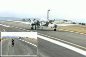 Small plane lands itself in first-ever use of automated aviation tech during mid-air emergency