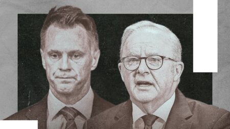 The pros and cons of a royal commission into the Bondi killings