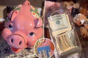 Lucky woman thrifts ‘hideous’ piggy bank – shocked to find $2,028 hidden inside