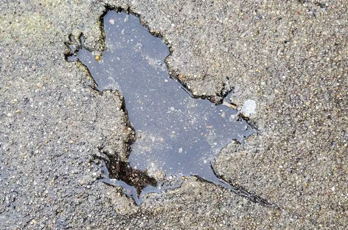 A puddle fills a rodent-shaped impression in concrete.