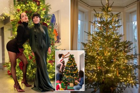 Strange celebrity ‘naked Christmas tree’ trend sparks pushback: ‘Ornaments are a must’