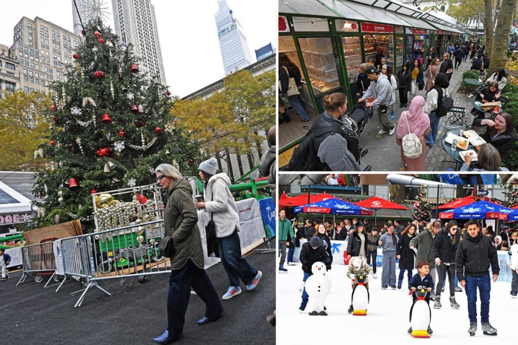 6-year-old slapped in face during unprovoked assault at Bryant Park winter market