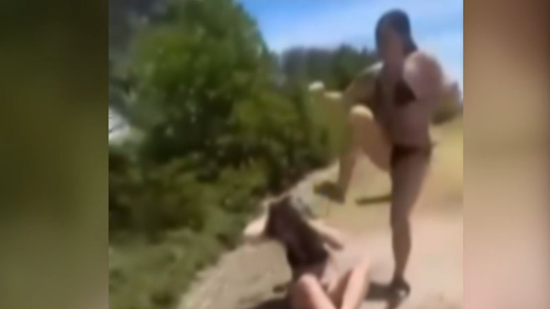 Police vow to hunt down ‘brat pack’ involved in Melbourne beach brawl