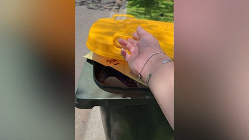 Missed bin collections on the rise in south-east Queensland