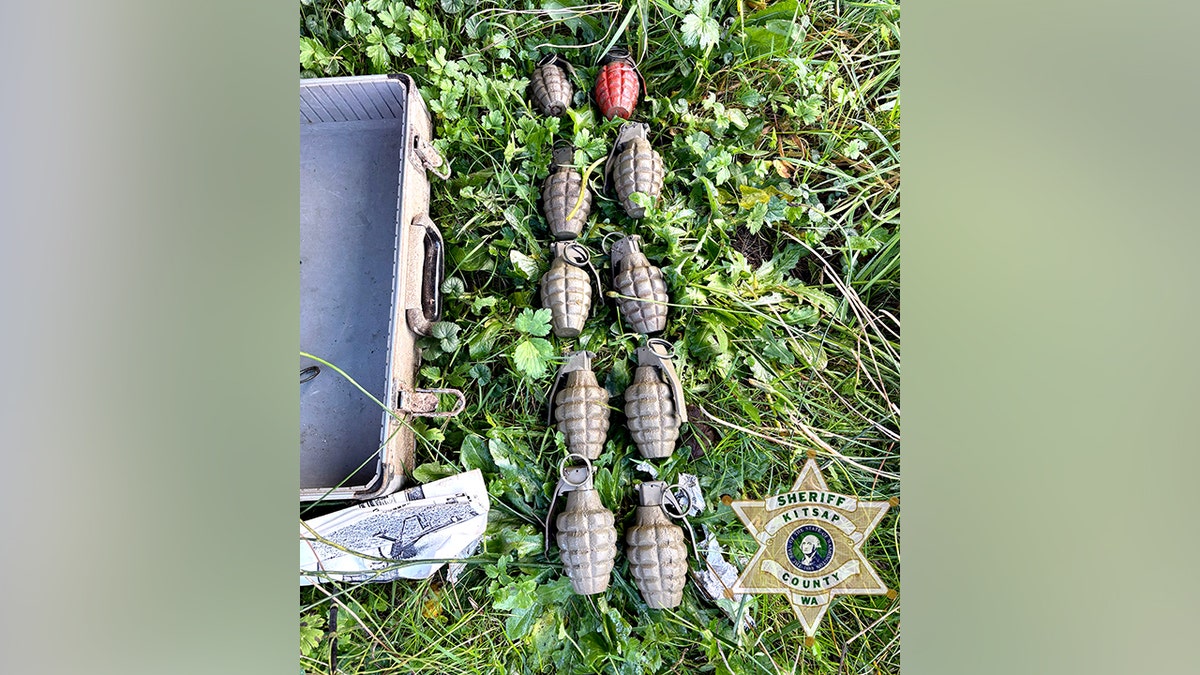 ten grenades are lined up on the ground outside the case