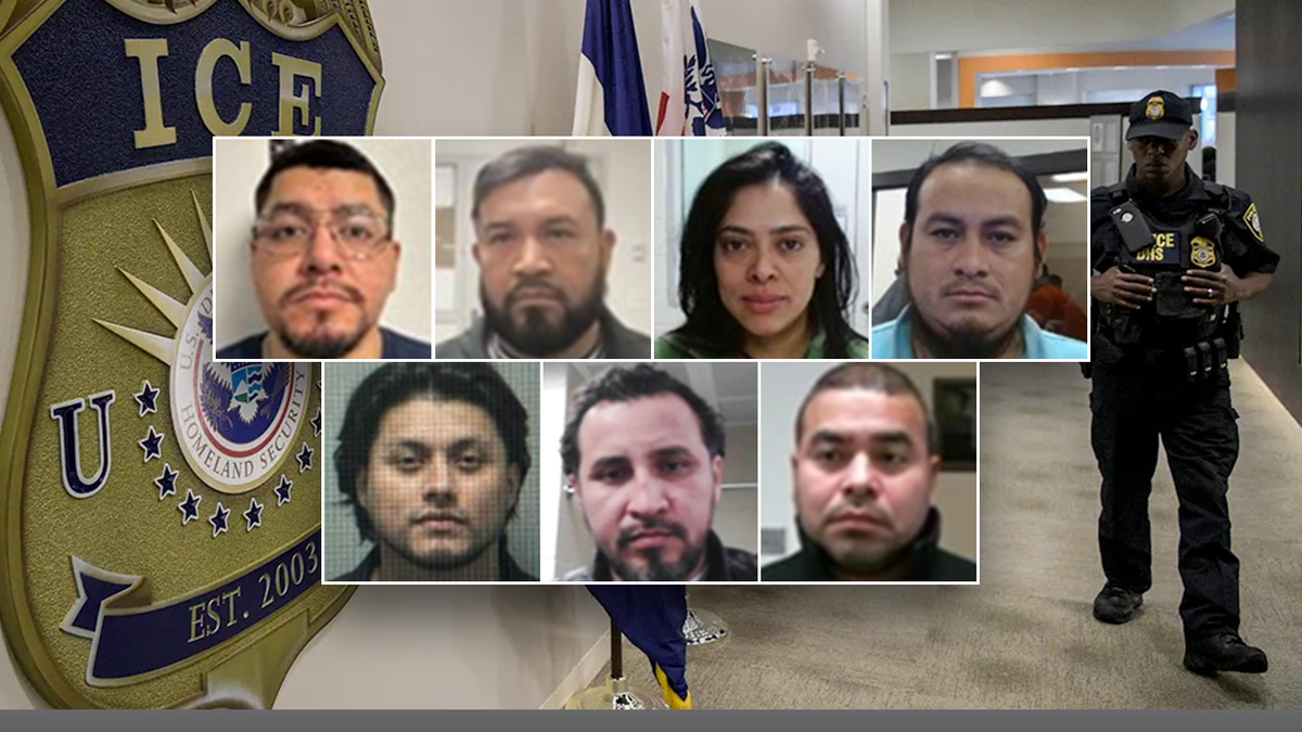 Criminal illegal immigrants arrested during ICE's Operation "Angel's Honor" in December 2025.
