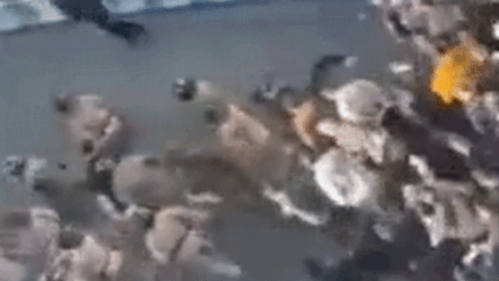 Anti-Iran regime protests grow across country as Trump admin boosts demonstrators offering support