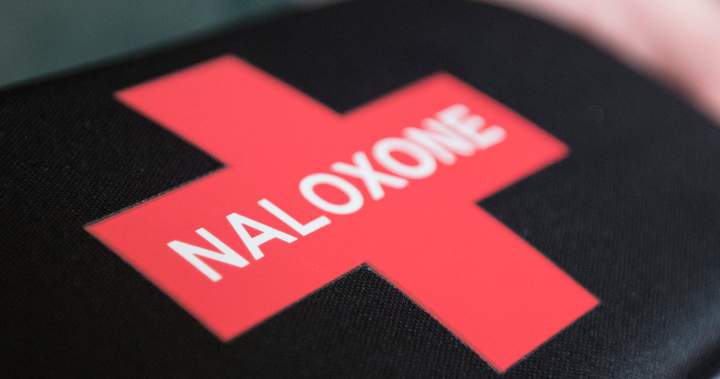 ‘She would have died’: Saskatoon woman saves life with naloxone kit