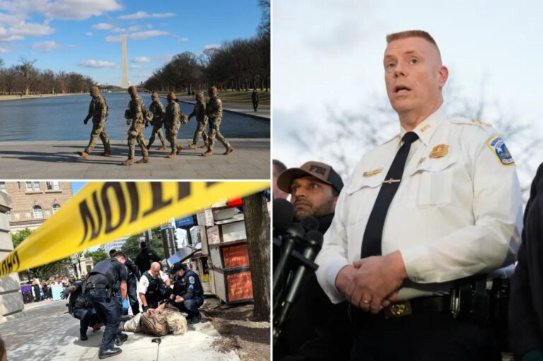 Jeffery Carroll named interim DC police chief days after scathing report claimed agency was fudging crime data