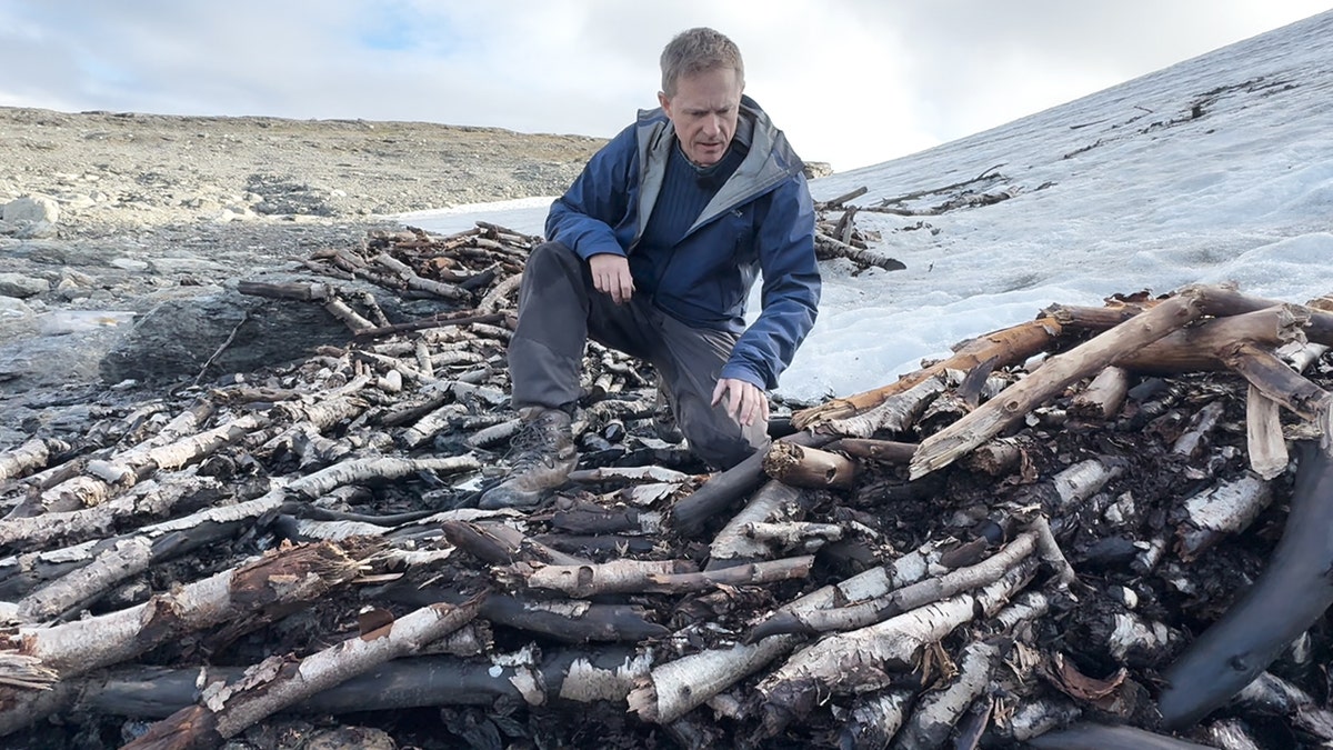 Man observing wood pile