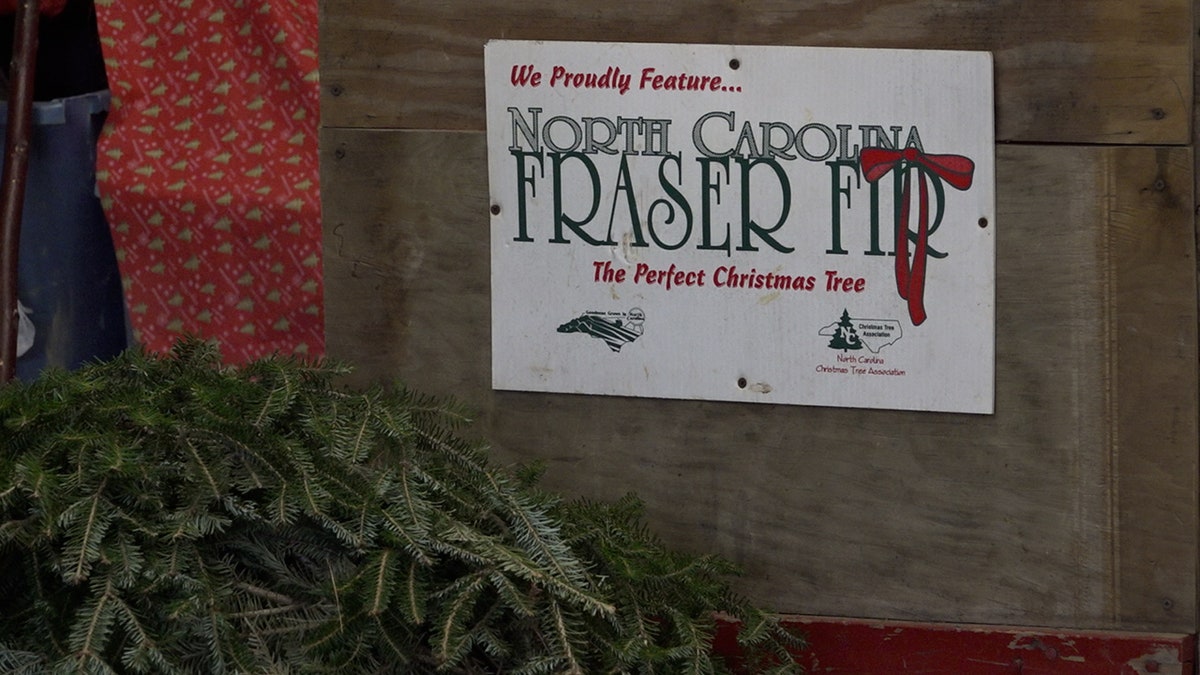 North Carolina is famous for the Fraser Fir Christmas tree