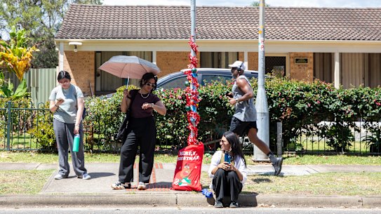 Sweltering Cities has decorated one of the many Blacktown bus stops without shelter to send a message to local MPs.