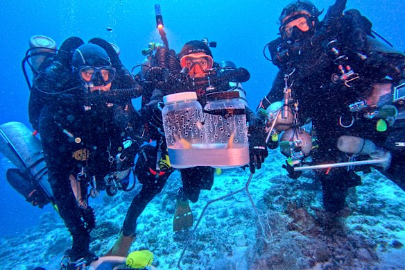 A specialist dive team uses rebreathers and helium to reach extraordinary depths.