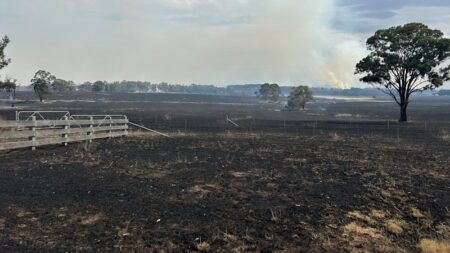 Matt Fowles’ family-owned winery gone within an hour
