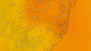 Heatwave warning for Sydney, NSW