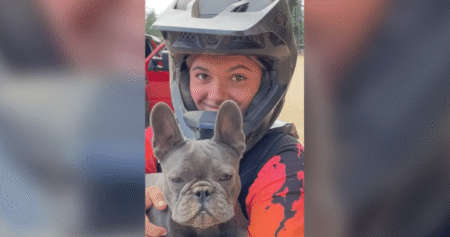 Autopsy reveals dingoes not likely to have killed Canadian found dead on Australian beach