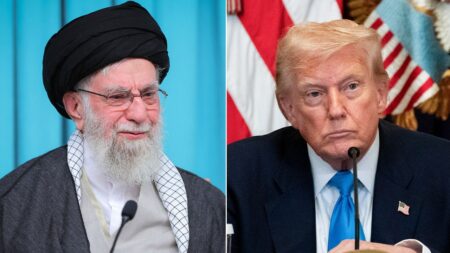 Iran crackdown rattles Middle East as analysts weigh US options short of military intervention