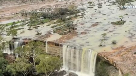 Tropical cyclone could form next week