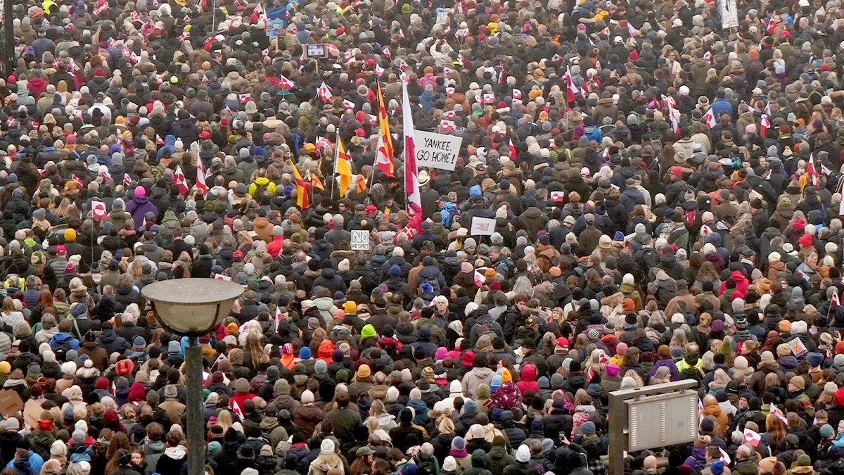 Protests oppose possible U.S. takeover of Greenland